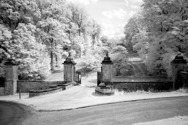 Stary Park w Howard Castle, Yorkshire, Anglia, Wielka Brytania — Zdjęcie stockowe