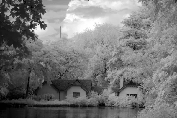 In The St James Park, London, UK — Stock Photo, Image