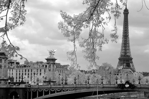 De Eiffeltoren en Alexandre III brug in Parijs, Frankrijk. — Stockfoto