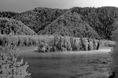 Katun Nehri 'nde sis, Altai Eyaleti Doğal Biyosfer Rezervi, Rusya.