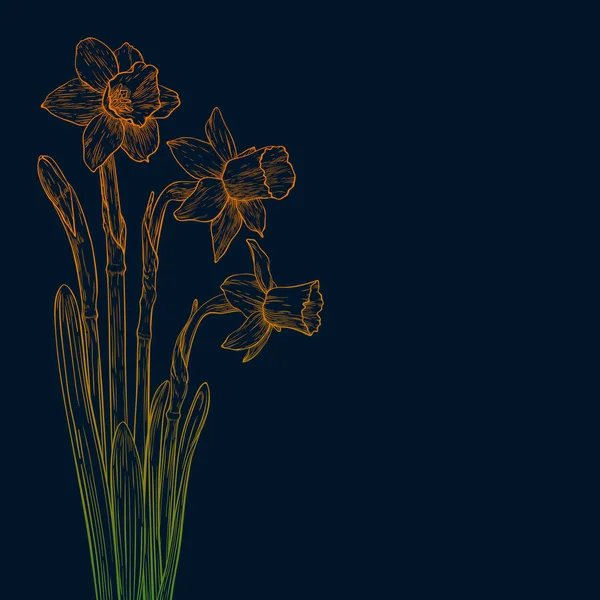 Vector färgade narcissus. — Stock vektor