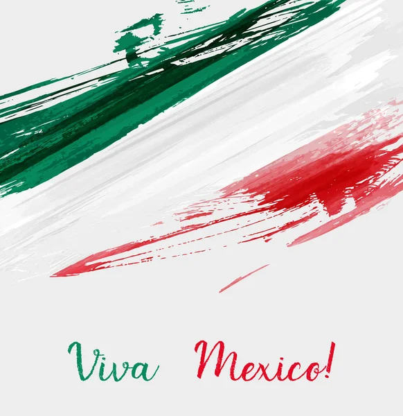 Viva Mexico background — Stock Vector