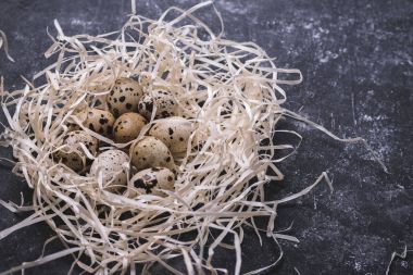 Yuvada bıldırcın yumurtası