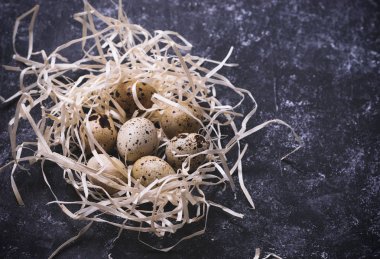 Yuvada bıldırcın yumurtası