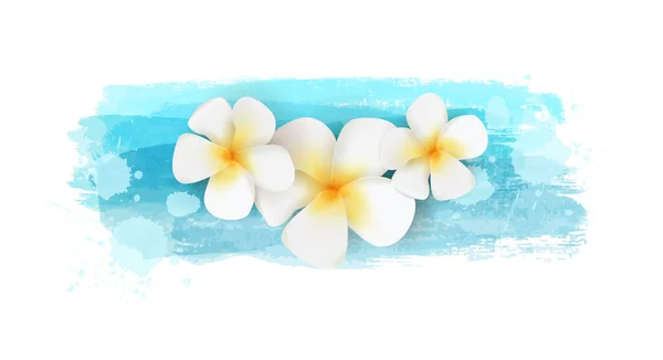 Plumeria on watercolor banner — Stock Vector