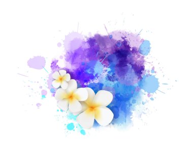 Soyut boya Frangipani çiçekleriyle sıçrıyor.