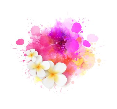 Mor ve pembe suluboya üzerine çiçek serpiştirilmiş frangipani (plumeria) ile soyut yaz geçmişi