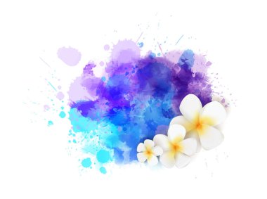 Frengipani (plumeria) çiçekleri ile soyut yaz arkaplanı mor ve mavi suluboya sıçrama