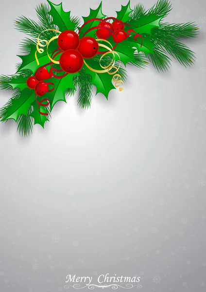 Vektor Weihnachten Stechpalme mit Beeren. — Stockvektor