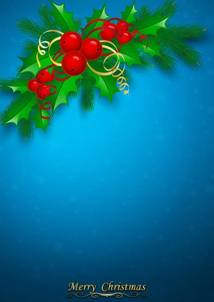 Vector de acebo de Navidad con bayas . — Vector de stock