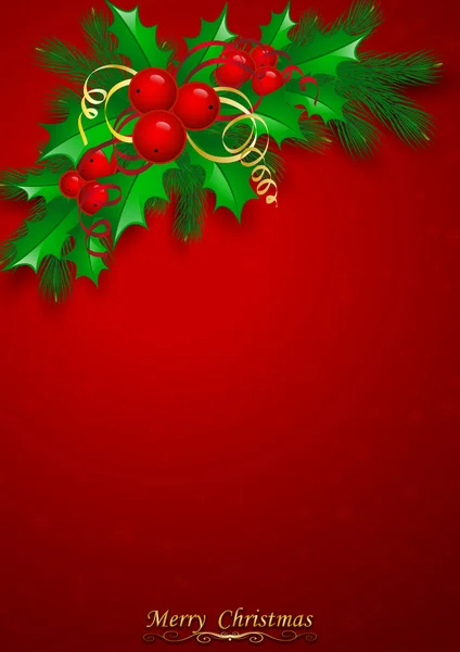 Agrifoglio di Natale vettoriale con bacche . — Vettoriale Stock