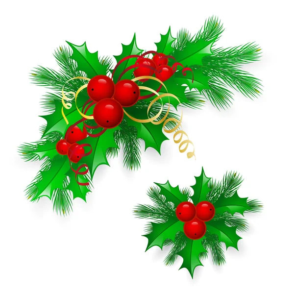 Vector Christmas holly with berries. — Stock Vector