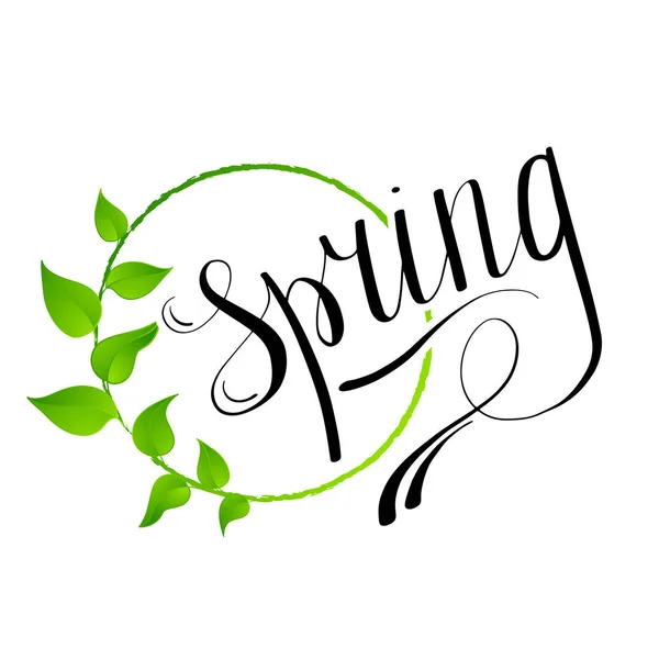 Olá Primavera fundo abstrato. Elemento de design com folhas verdes —  Vetores de Stock