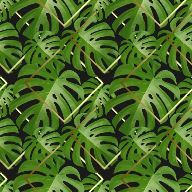 Arka plan ile tropikal palmiye yaprakları. Egzotik tropik bitkiler.