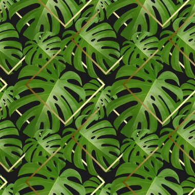 Arka plan ile tropikal palmiye yaprakları. Egzotik tropik bitkiler.