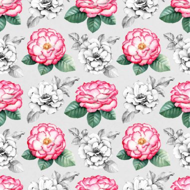 Yabani gül çiçek Çizim