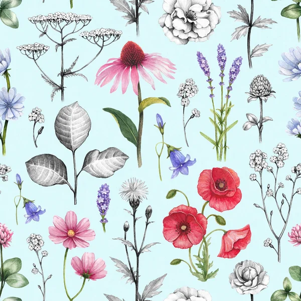 Wild flowers illustration — Stock Photo, Image