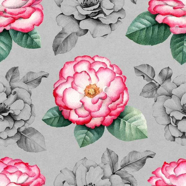Wild rose flowers illustration — Stock Photo, Image