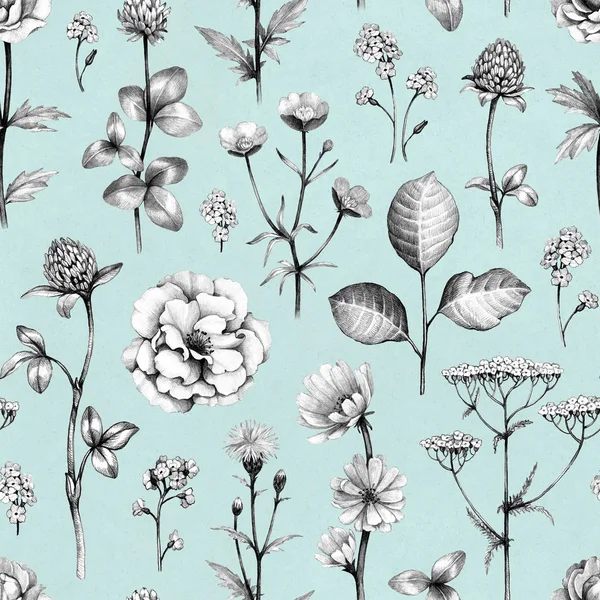 Wild flowers drawings — Stock Photo, Image