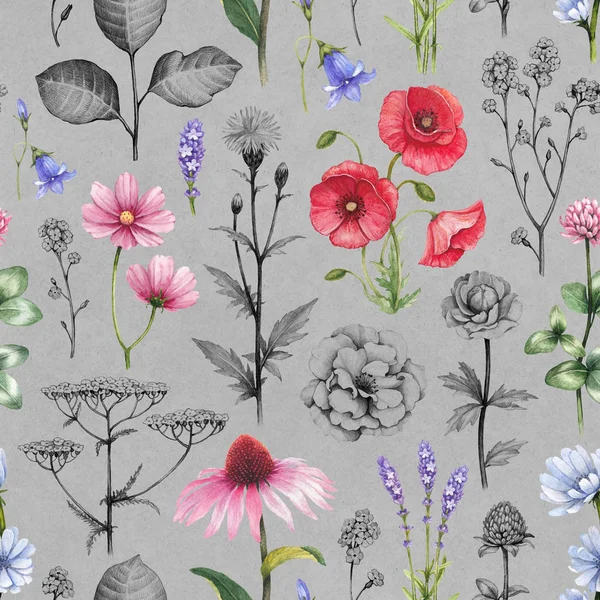 Illustration Wildblumen — Stockfoto