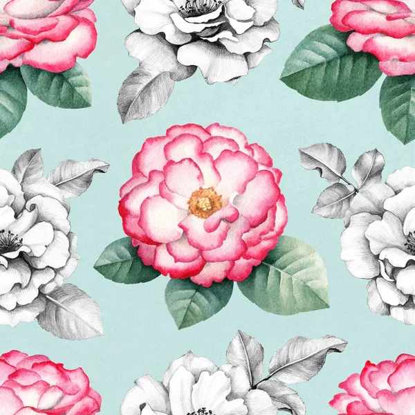 Divoké květy růže ilustrace — Stock fotografie