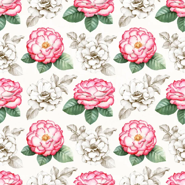 Wild rose flowers illustration — Stock Photo, Image