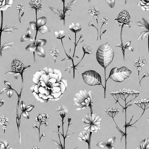 Desenhos de flores selvagens — Fotografia de Stock