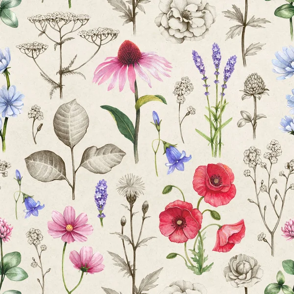 Illustration Wildblumen — Stockfoto