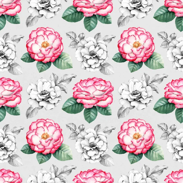 Wild rose flowers illustration