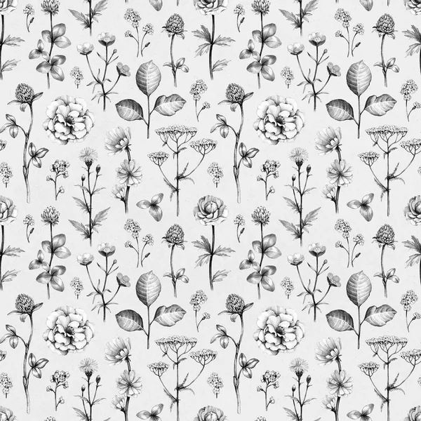 Wildblumen-Zeichnungen — Stockfoto