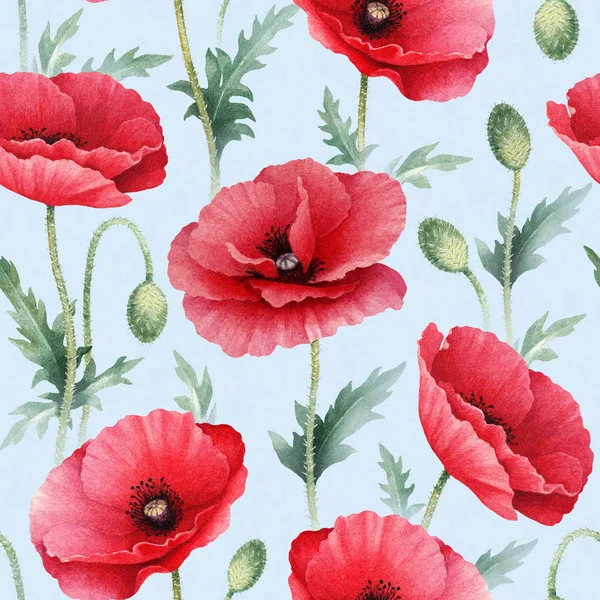 Watercolor illustration of poppy flowers — Stock Photo, Image