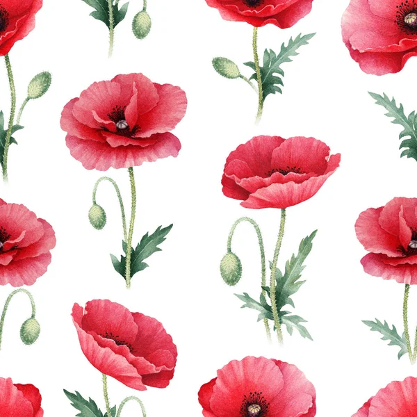 Acuarela ilustración de flores de amapola — Foto de Stock