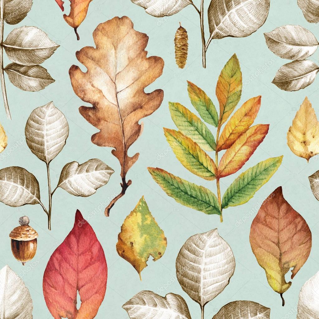 Illustrations of autumn leaves — Stock Photo © Sashsmir #129579032