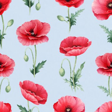 haşhaş çiçekleri suluboya çizimi