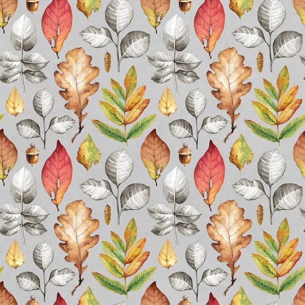 Ilustraciones de hojas de otoño —  Fotos de Stock