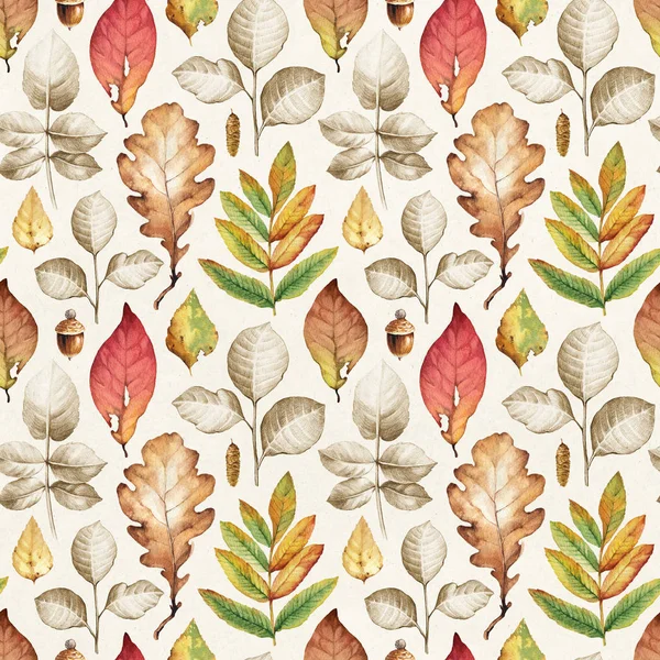 Illustrations of autumn leaves — Stock Photo, Image