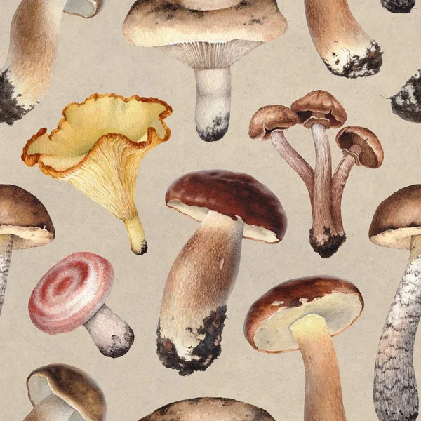 Illustrazione ad acquerello di funghi — Foto Stock