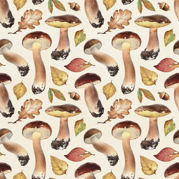 Watercolor illustration of mushrooms — Stock Photo, Image