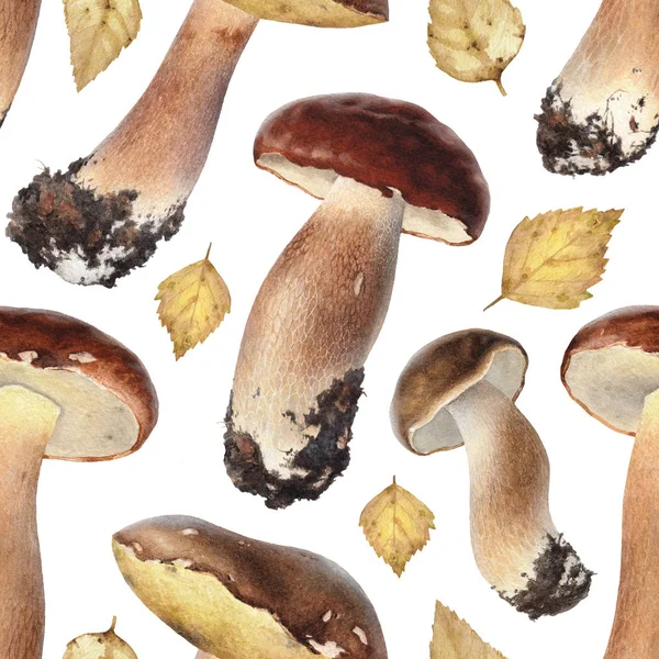 水彩插图的蘑菇 — 图库照片