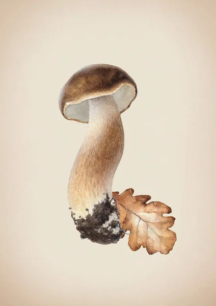 Aquarell-Illustration von Pilz — Stockfoto