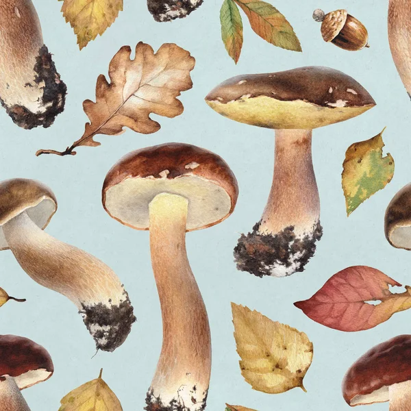 水彩插图的蘑菇 — 图库照片