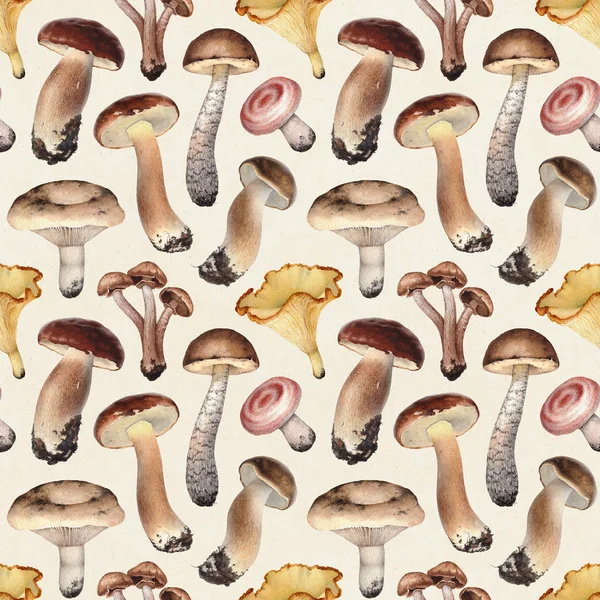 Aquarel illustratie van paddestoelen — Stockfoto