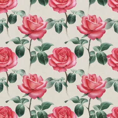 Bir gül suluboya çizimler. 