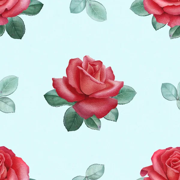 Akvarell illustrationer av en rosor — Stockfoto