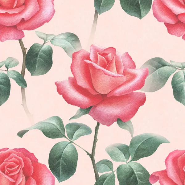 Akvarel ilustrací růží. — Stock fotografie