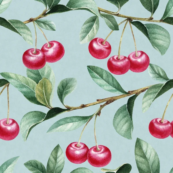 Akwarela ilustracja wiśni i czereśni — Zdjęcie stockowe