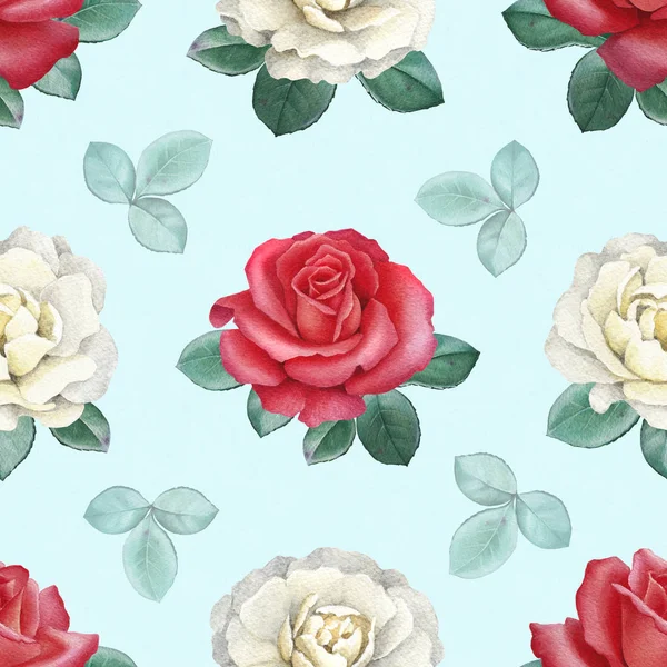 Watercolor illustrations of a roses — Stock Photo, Image