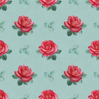 Suluboya kırmızı gül. Sorunsuz bilmece