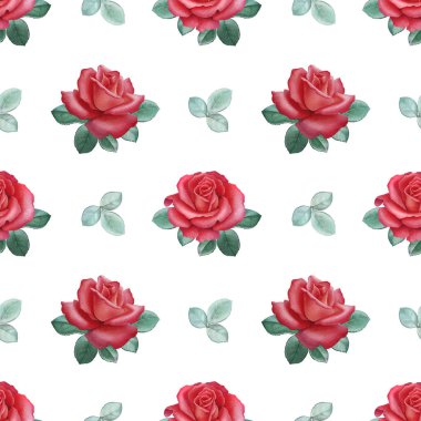 Suluboya kırmızı gül. Sorunsuz bilmece