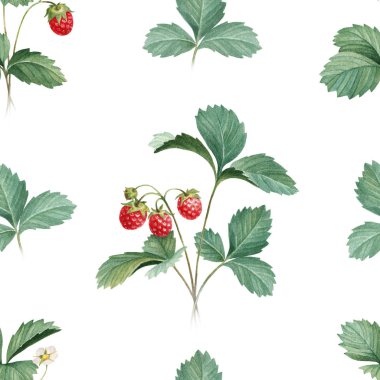 Yaprakları ile suluboya çilek